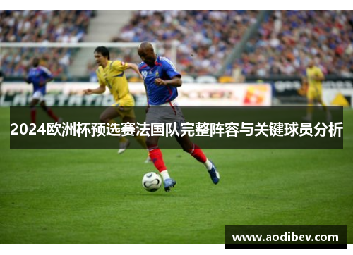 2024欧洲杯预选赛法国队完整阵容与关键球员分析