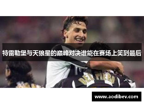 特雷勒堡与天狼星的巅峰对决谁能在赛场上笑到最后