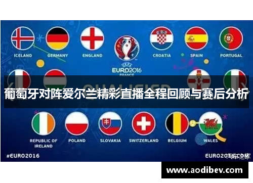 葡萄牙对阵爱尔兰精彩直播全程回顾与赛后分析