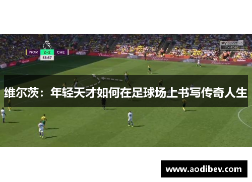 维尔茨：年轻天才如何在足球场上书写传奇人生