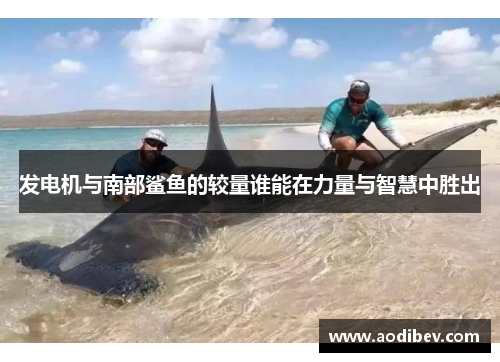 发电机与南部鲨鱼的较量谁能在力量与智慧中胜出